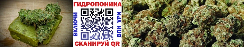 Cannafood конопля  Палласовка 