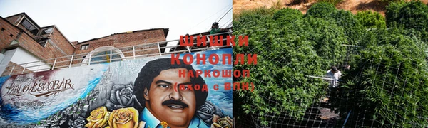 спиды Нефтекумск