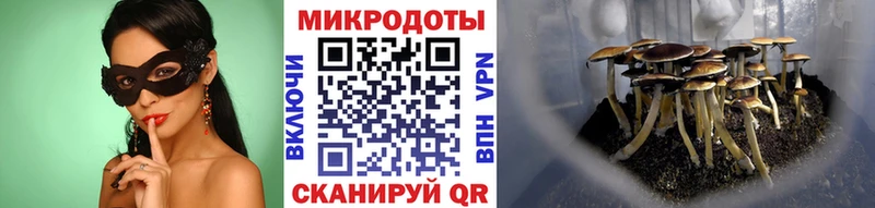 где можно купить Палласовка Псилоцибиновые грибы ЛСД